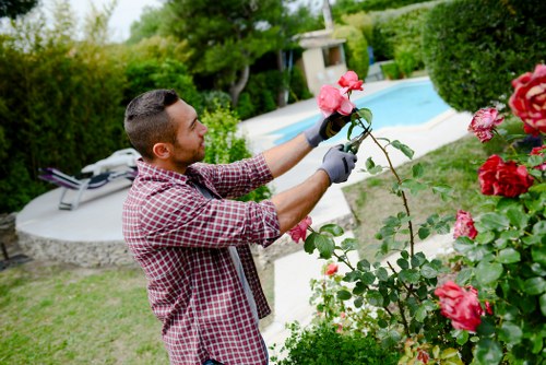 Tree surgeon reviewing a customer complaint form