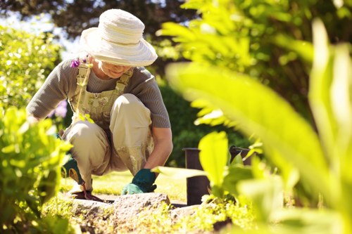 Tree Surgeon Merton cookie policy introduction on a website page