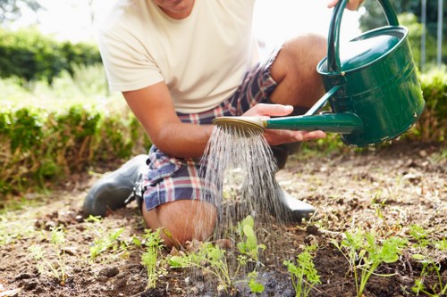 Tree surgeon reviewing legal terms and site requirements