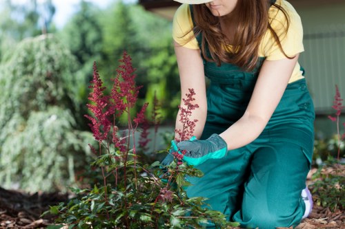 Tree surgeon reviewing safety procedures before work