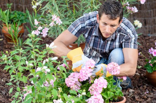 Professional arborist inspecting tree health in an urban setting